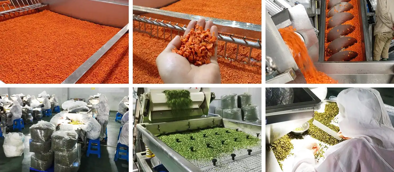 product-1-1 product-1-1